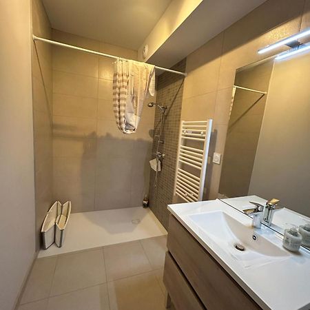 Appartement Avec Jardin Chateauneuf-de-Galaure Extérieur photo